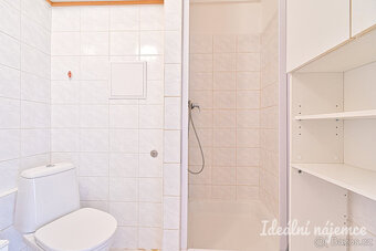 Pronájem bytu 1+kk, Jedovnická, Líšeň, 11500 Kč/měs, 22 m2 - 5
