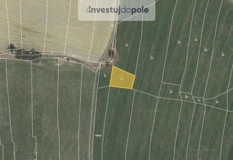 Prodej zemědělské půdy v k.ú. Radenín - 5