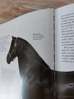Encyklopedie koni - 5