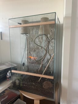 Terárium pro chameleona - 5