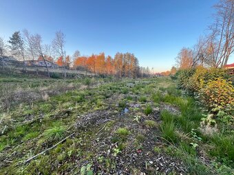 Prodej, pozemek 4200m2 - 5