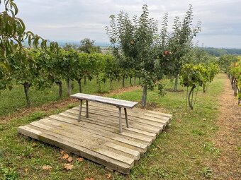 Prodej vinohradu - Petrov u Strážnice - 5