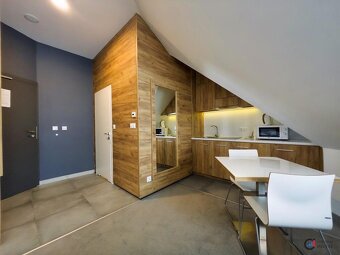 Prodej apartmánu 36 m2, Dolní Morava, ev.č. 00656 - 5