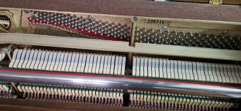 Piano Weinbach - Petrof - Renner - 5