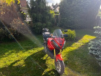 Triumph Tiger 1050 - 5