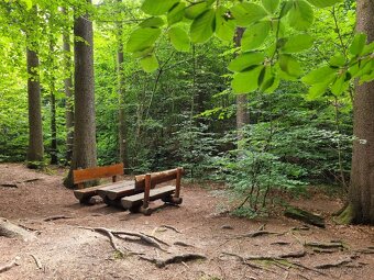 Prodej chaty v CHKO Železné hory - 5