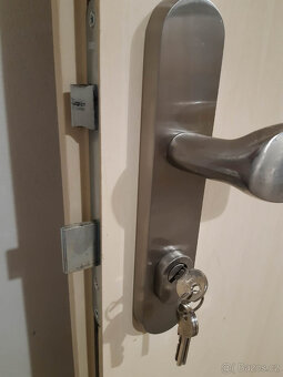 Protipozarni dvere sapeli 90 - 5