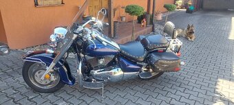 Suzuki VL 1500 - 5