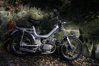 MALAGUTI FIFTY 50 TOP STAV VETERAN - 5