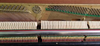 Černé piano Rösler - Petrof - 5