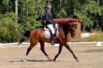 7 lety valach do sportu - 5