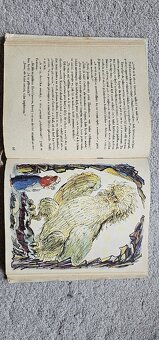 Božena Němcová - Princezna se zlatou hvězdou na čele - 5
