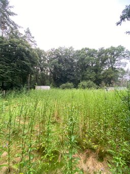 Hledáme lidi kteří nám připraví pozemek na trávník - 5