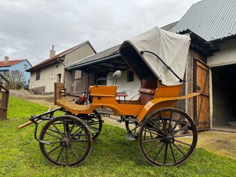 Kočár za koně - 5