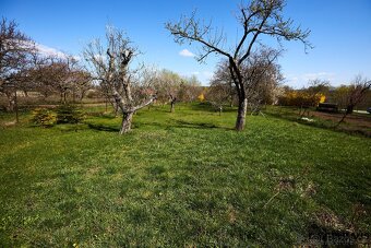 Prodej zahrady (752 m2 ), Rajhrad, ev.č. 00298 - 5
