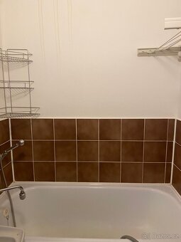 Prodám byt na Zeyrove ulici 3+1 - 5