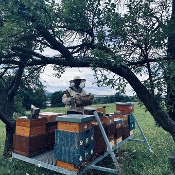 Vyzimovaný oddělek - 5