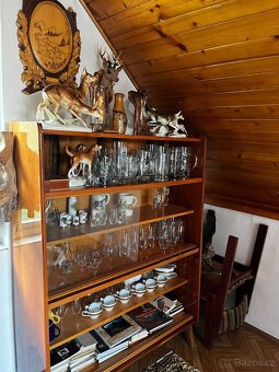 Trofeje -myslivost - 5