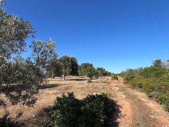 Stavební pozemek u moře 10.050m2 - 5