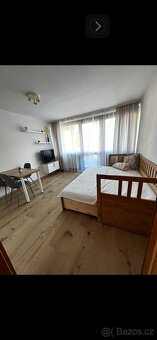 Pronájem apartmánu 1+KK s lodžií v Bavorské Rudě - 5
