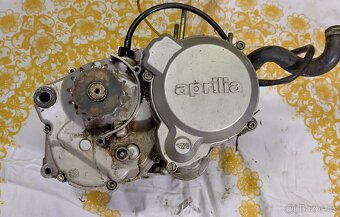Motor Rotax 123 Aprilia AF1 Pegaso Red Rose - 5