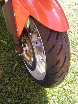 Triumph Tiger 1050 - 5