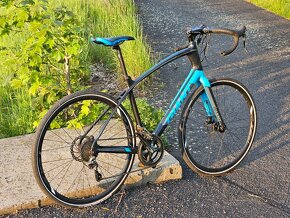 Giant AnyRoad Advanced - carbon - vel. XL - 5