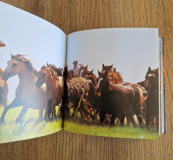 Horses (CubeBook, 2010) - 5