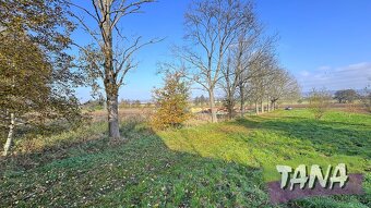 Prodej pozemky pro bydlení, 1 980 m2 - Dvůr Králové nad Labe - 5