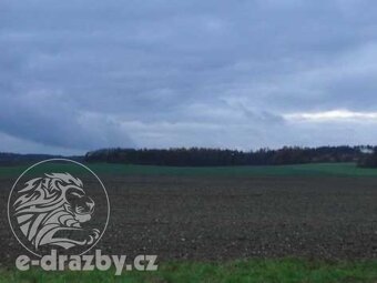Pole 6100 m2, Týnec nad Labem, okr. Kolín, ev.č. 212D6257P - 5