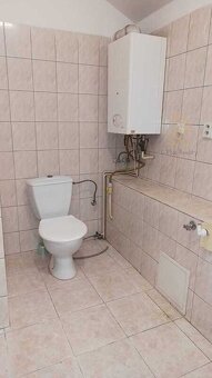 Pronájem, byt 1kk, 36m2, Palackého náměstí, Brozany nad Ohří - 5