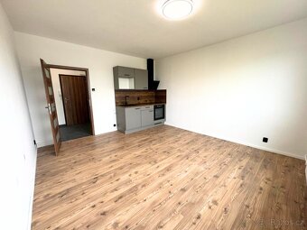 🏠 Nově zrekonstruovaný byt 1+1 (39 m²) k okamžitému nastěho - 5
