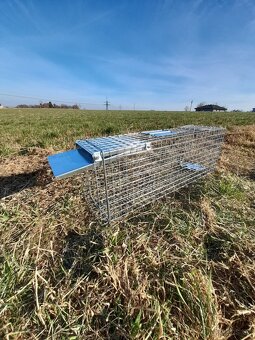 Skvělé pasti, sklopce na kuny, lišky, kočky, potkany atd - 5