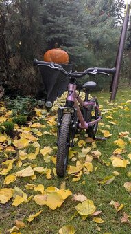 Růžové kolo Rascal - 14 - 5