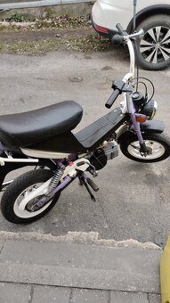 Babetta Stella 1134 - 5