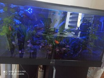 Akvárium 250l - Diversa - 5