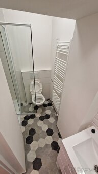 Pronajmu byt 1kk, 23m2, cihla, centrum České Lípy - 5