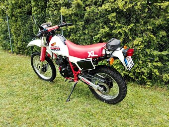 Honda XL 600 R PD03E - 5