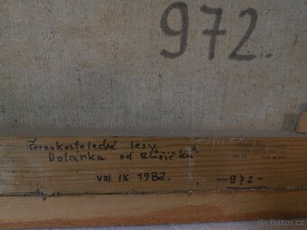 Černokostelecké lesy, Jar. Procházka 1908 +1989 - 5