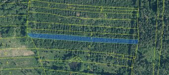 Prodám lesní pozemky v k.ú. Milčice - 5