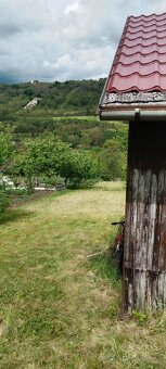 Zahrada v Ivančicích na Rene - 5