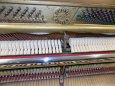 Prodám celopancéřové piano, pianino, klavír Petrof - Rosler - 5