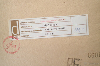 Bohuslav Knobloch - Gladioly - litografie 184/200  - 5