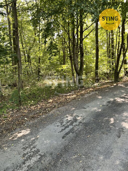 Prodej lesa, 9.789 m2, Hnojník, 133518 - 5