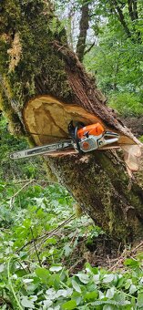 Stromolezec, arborista, udrzby zelene - 5