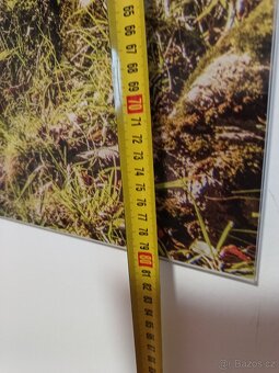 Fotoobraz ve skle 120x80 cm - 5