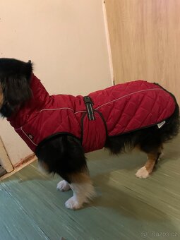 Bunda pro psy Trixie - 5