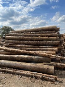 SUCHÉ Palivové dřevo - měkké, tvrdé, bříza - 5