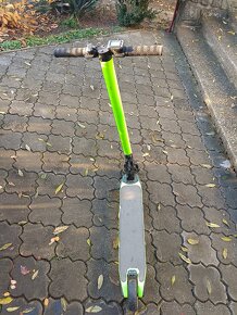 Elektrická koloběžka carbon zelená - 5
