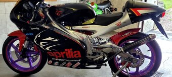 Aprilia rs 125 - 5